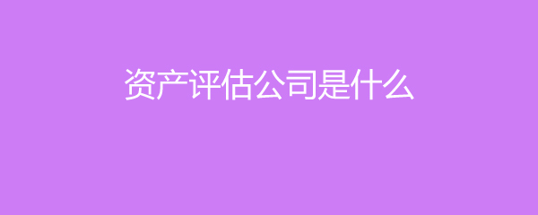 資產(chǎn)評(píng)估公司及其服務(wù)解析
